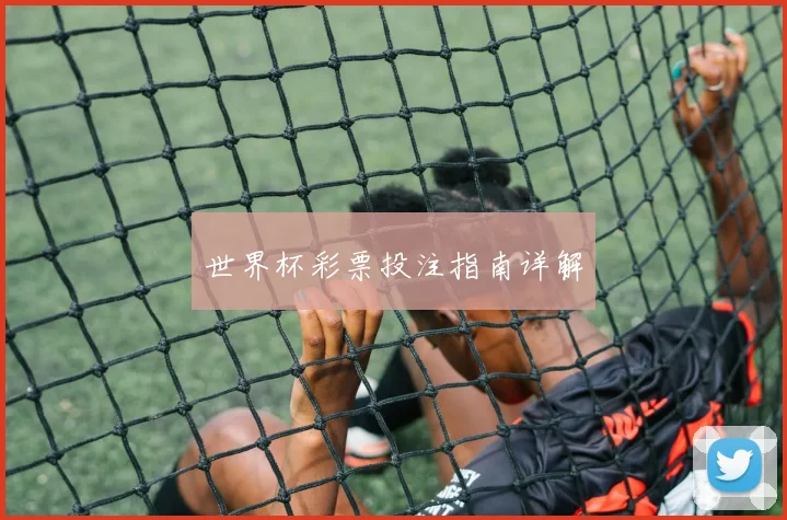 世界杯彩票投注指南详解