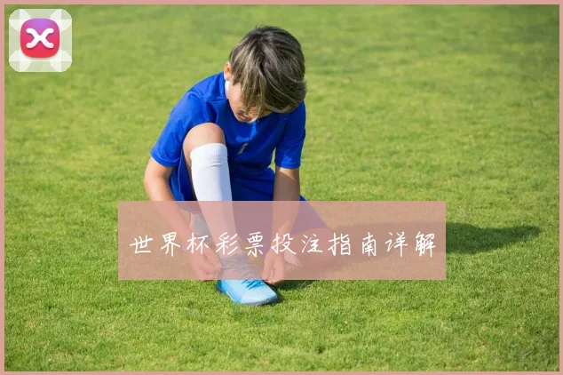 世界杯彩票投注指南详解