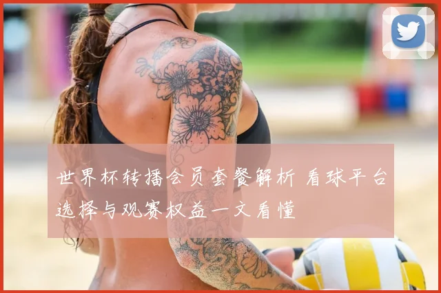 世界杯转播会员套餐解析 看球平台选择与观赛权益一文看懂